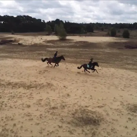 Сasa de vacaciones Veluwe - Bosuil Lunteren