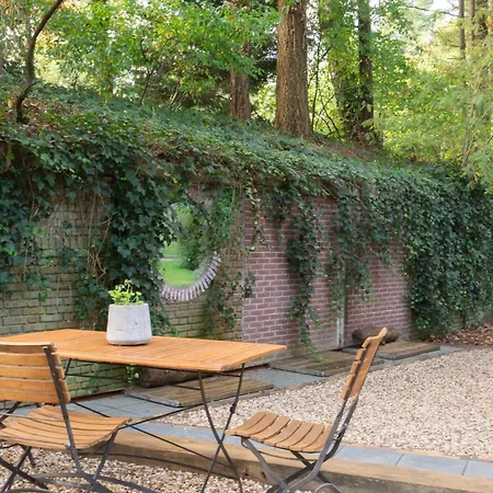 Veluwe - Bosuil * Lunteren