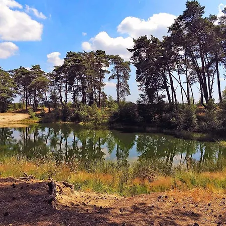 Veluwe - Bosuil *