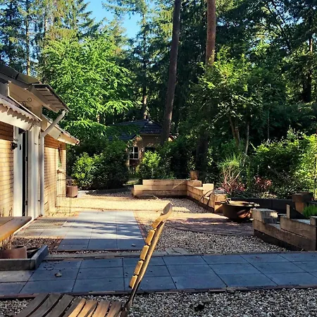 Veluwe - Bosuil Lunteren