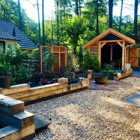 Holiday home Veluwe - Bosuil Lunteren