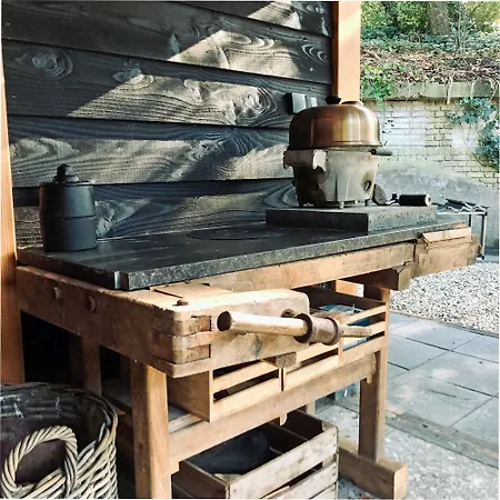 Veluwe - Bosuil * Lunteren