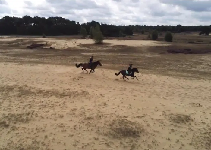 Semesterbostad Veluwe - Bosuil Lunteren