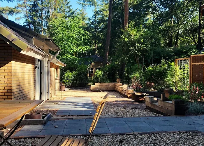 Veluwe - Bosuil לונטרן